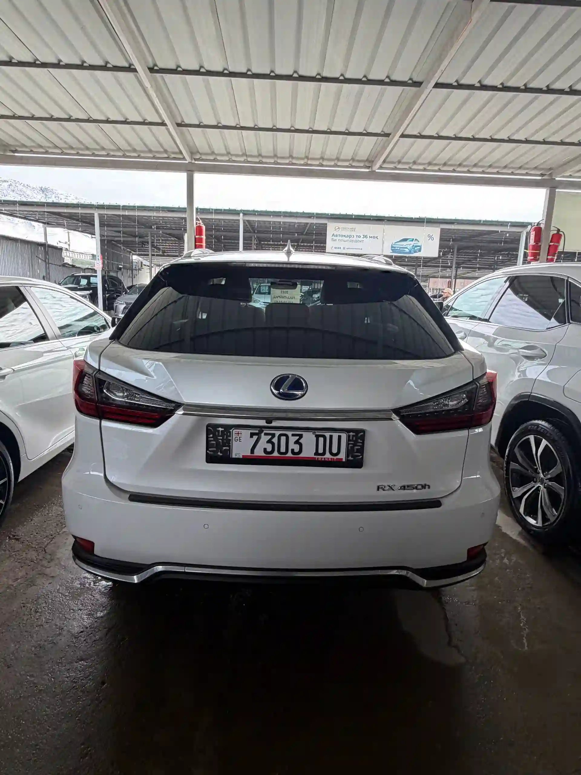 Lexus Rx series 2022