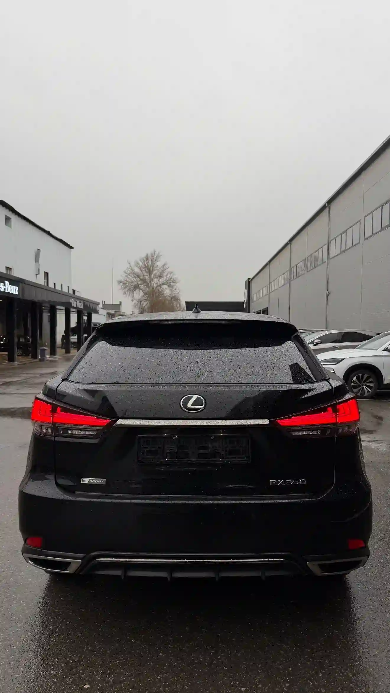 Lexus Rx series 2020