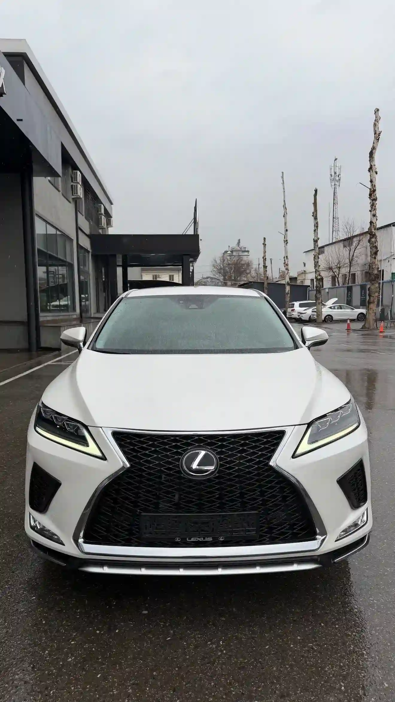 Lexus Rx series 2018 — миниатюра 1