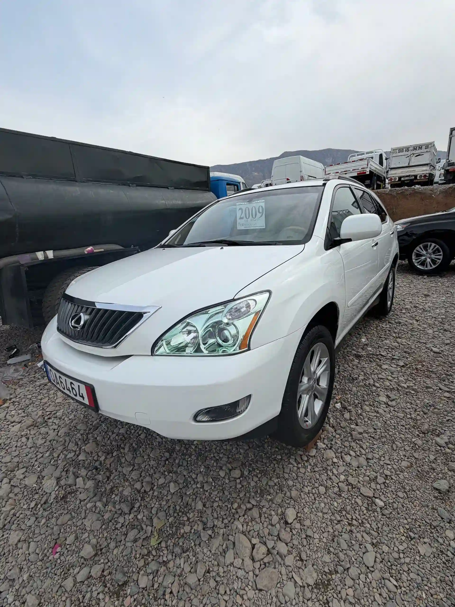 Lexus Rx series 2009 — миниатюра 2