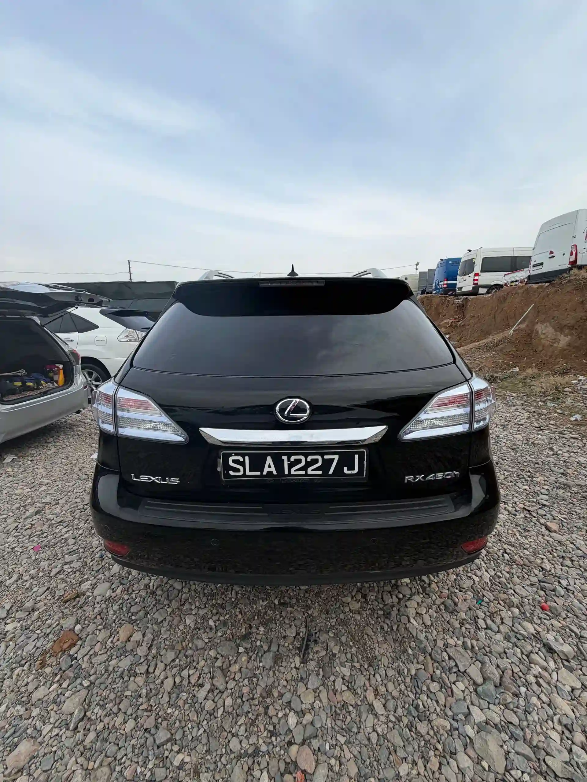 Lexus Rx series 2010