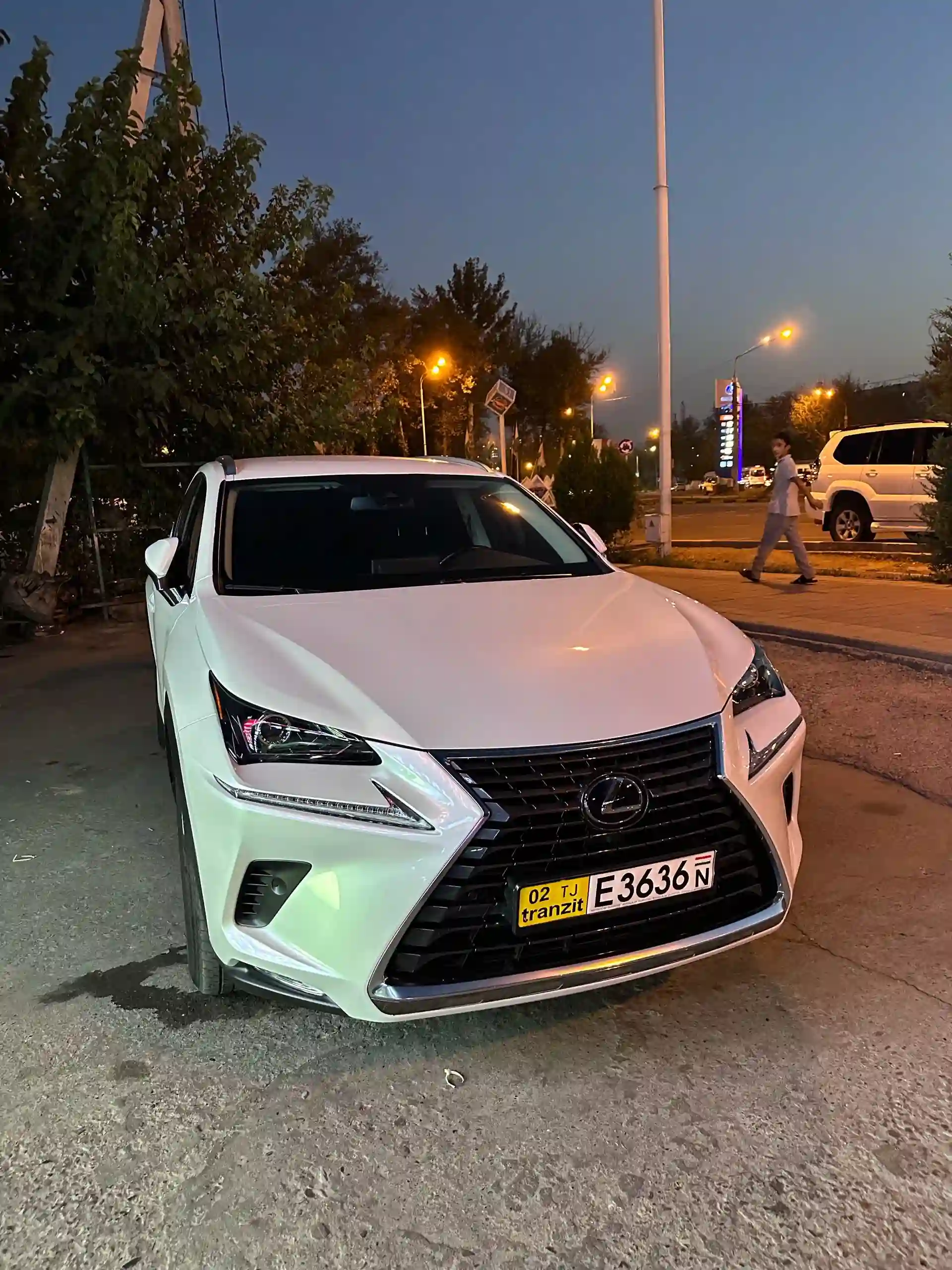 Lexus Nx series 2019