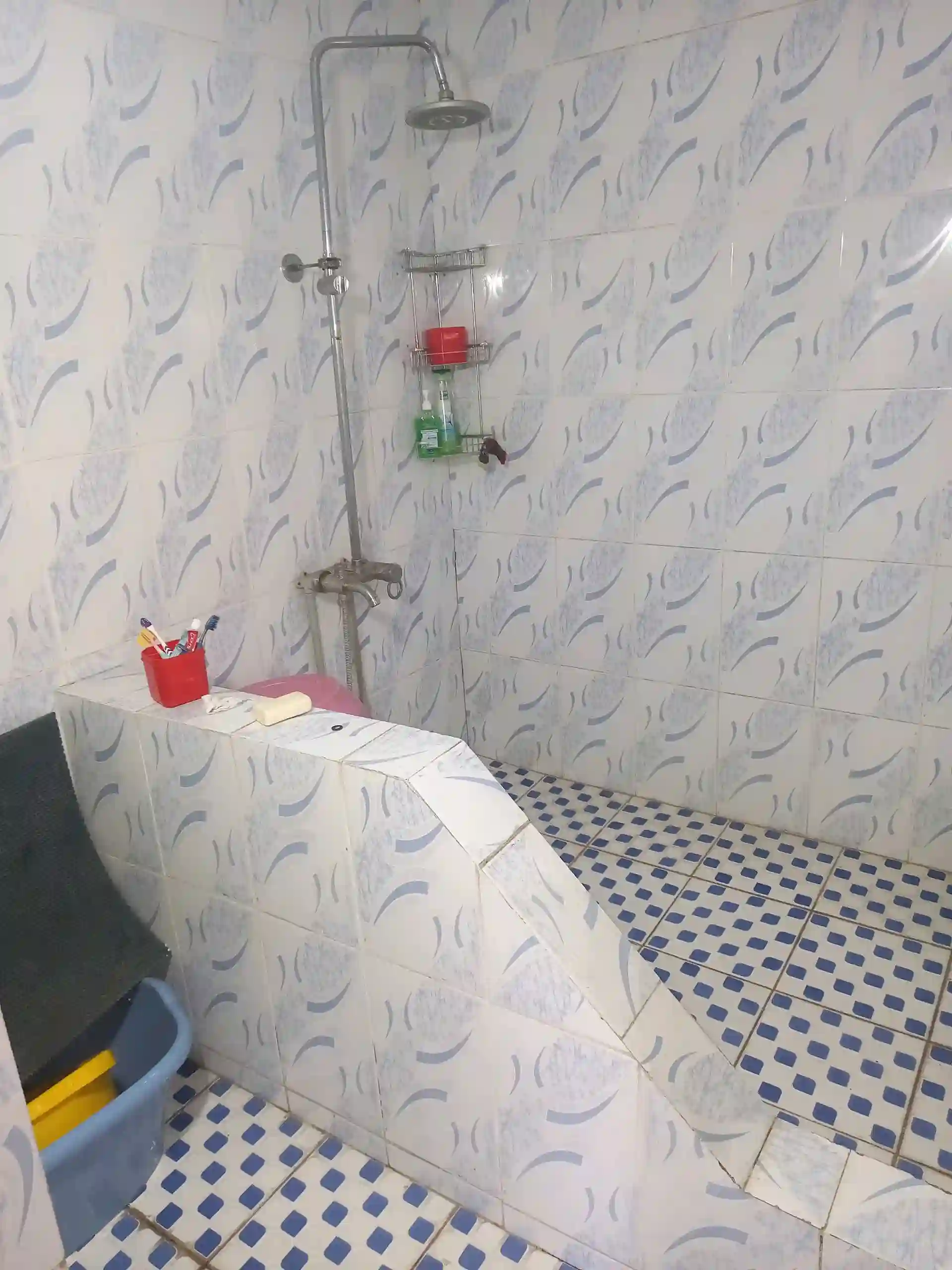 1 этажный, 3-комн. дом, 70 м², 4 соток, РУДАКИ — миниатюра 8