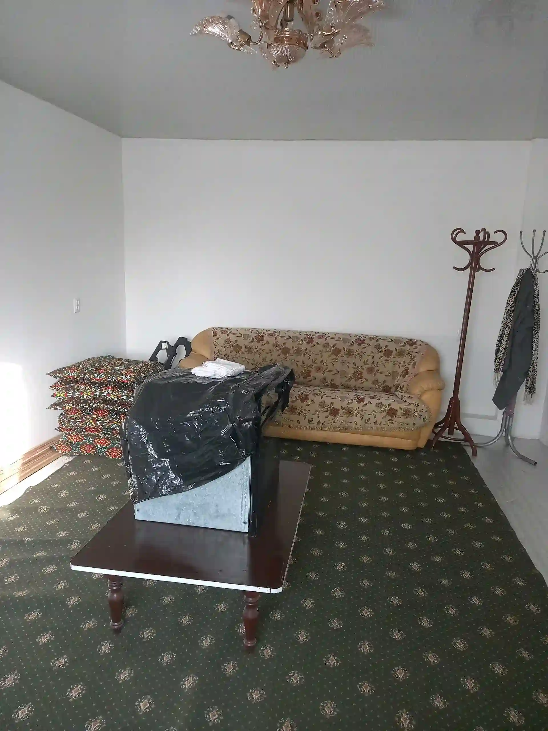1 этажный, 3-комн. дом, 70 м², 4 соток, РУДАКИ — миниатюра 11