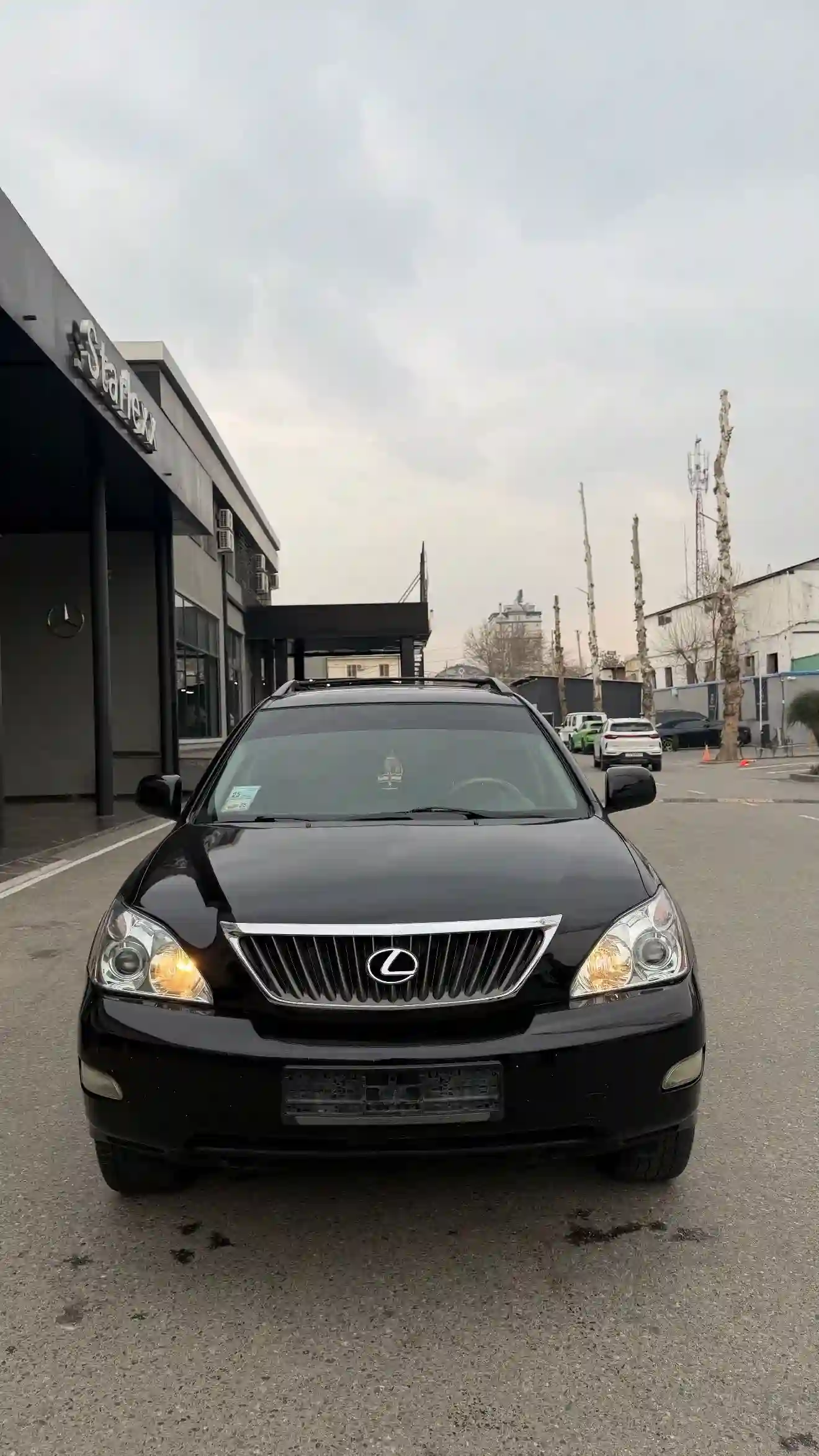 Lexus Rx series 2008 — миниатюра 1