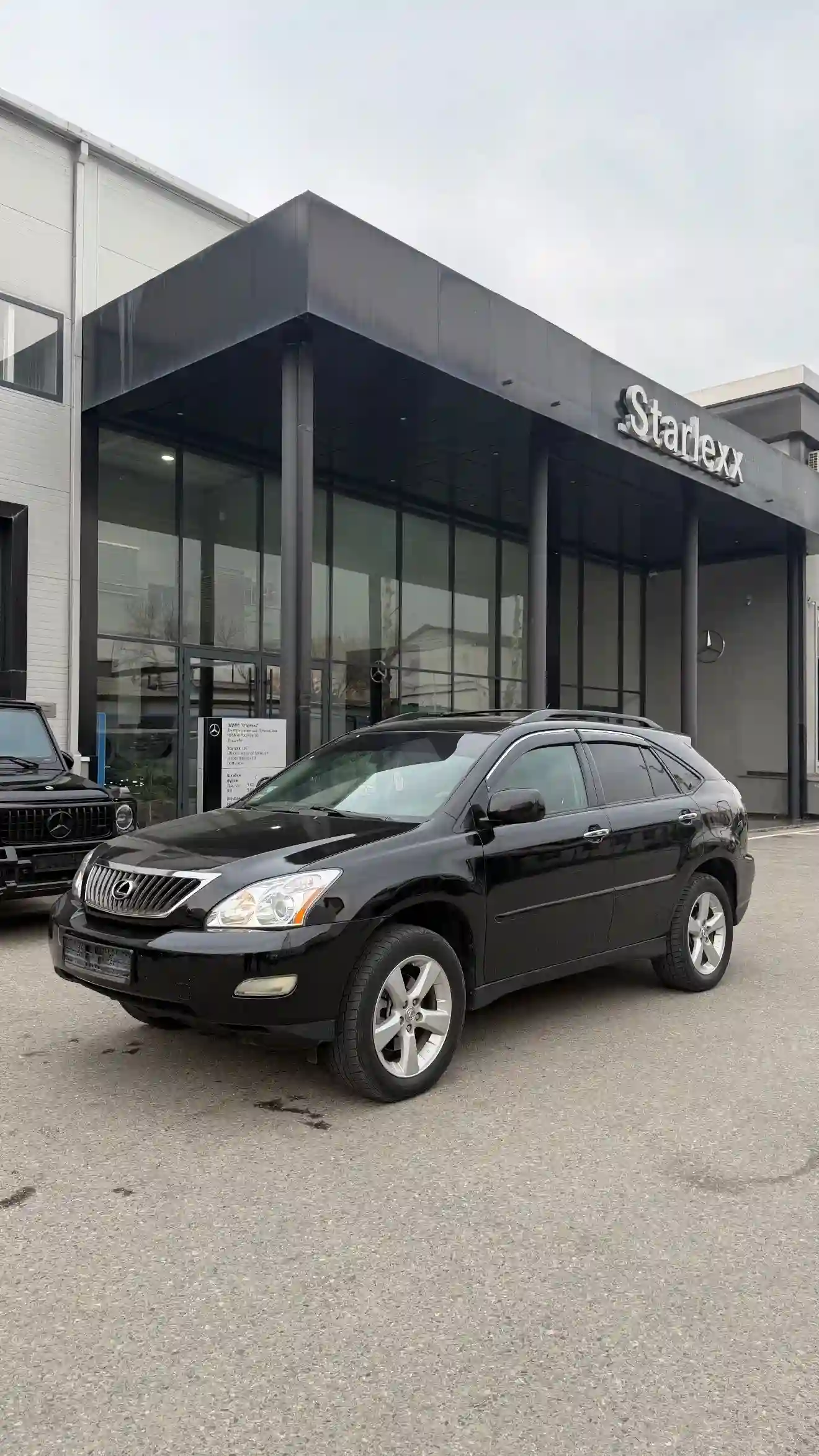 Lexus Rx series 2008 — миниатюра 2