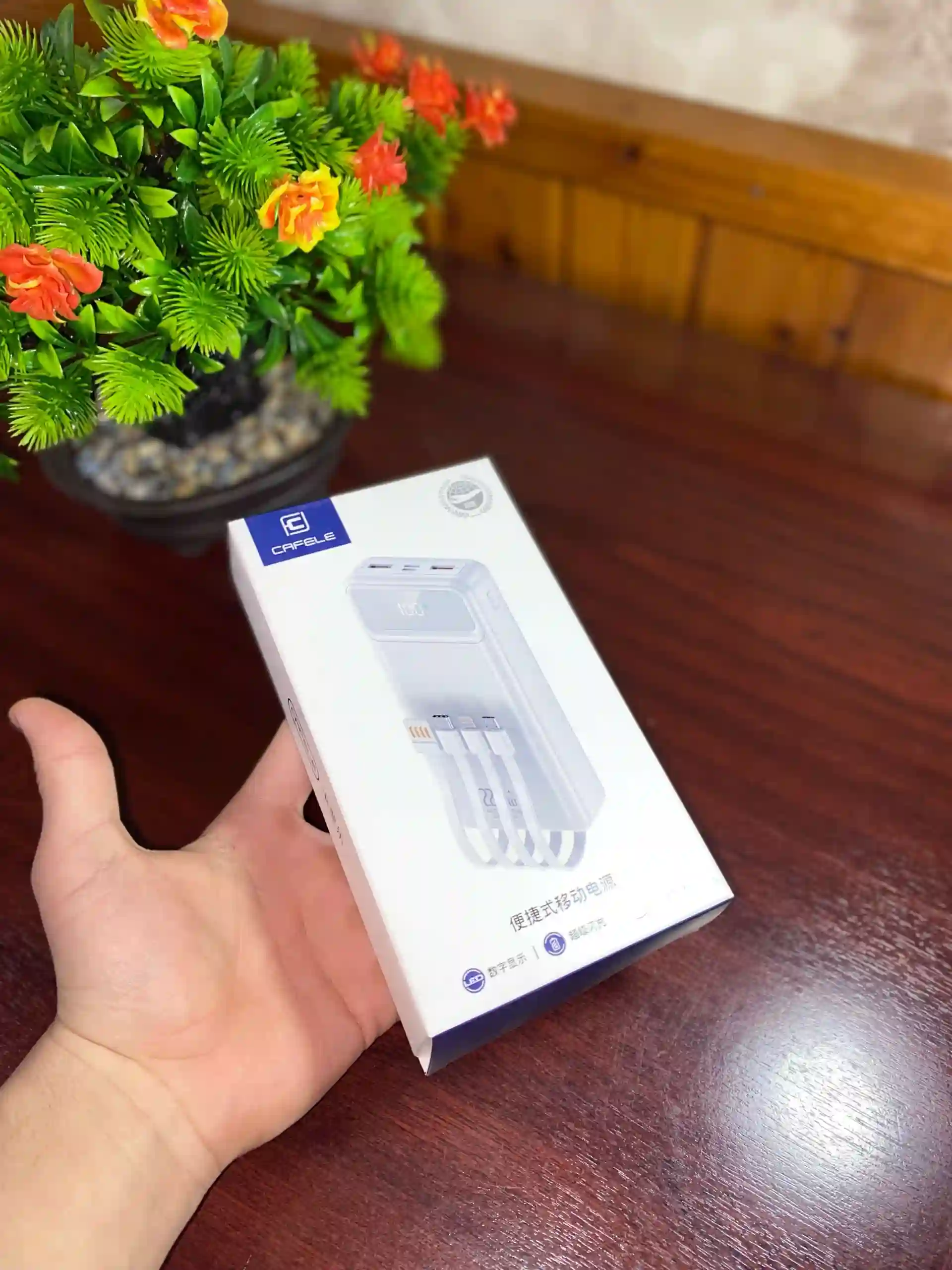 POWER BANK 20W