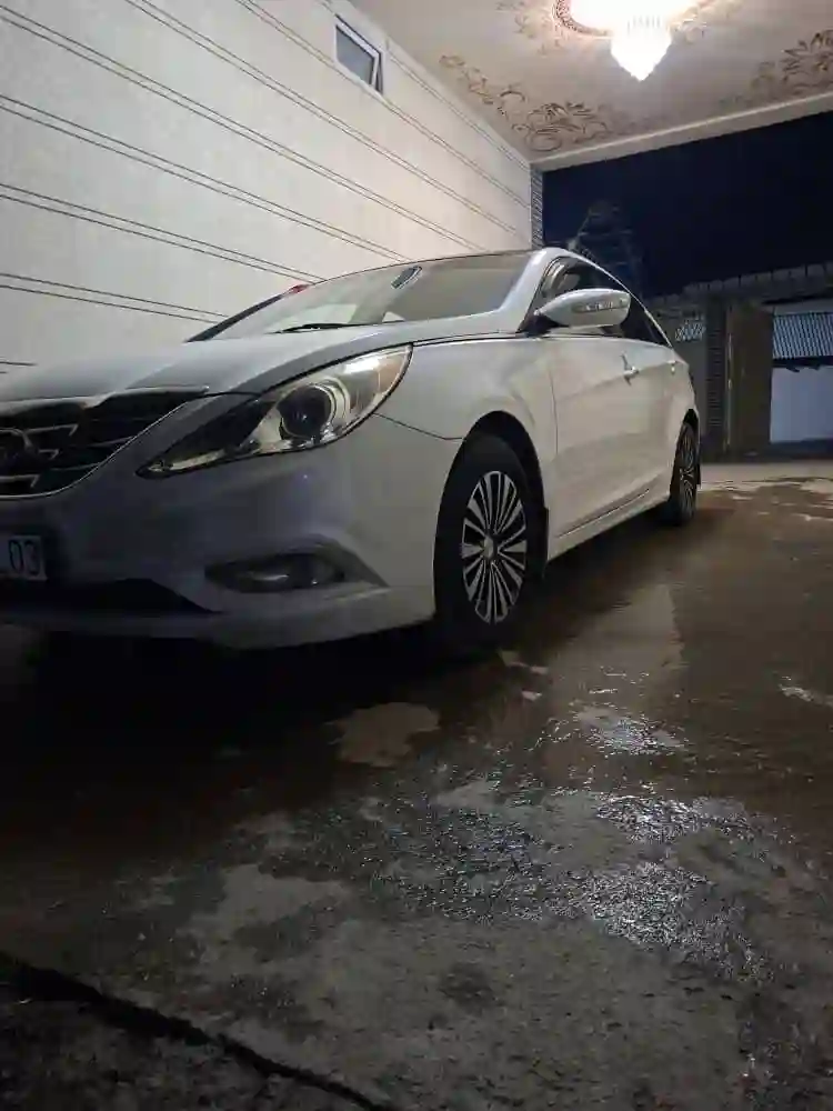 Hyundai Sonata 2010 — миниатюра 1