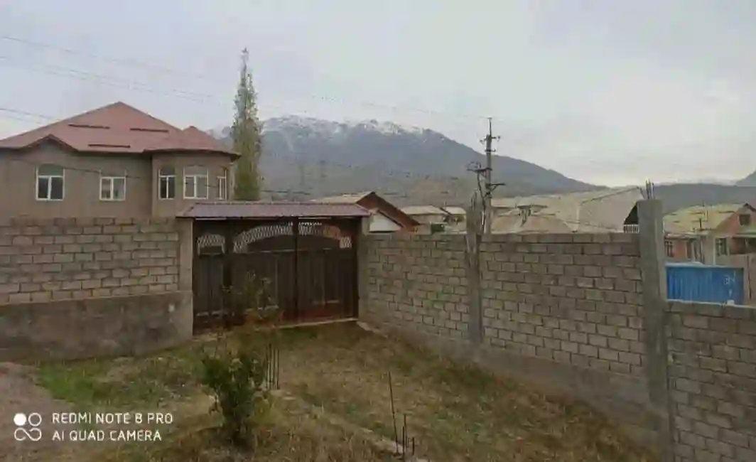 Хавлии фуруши 