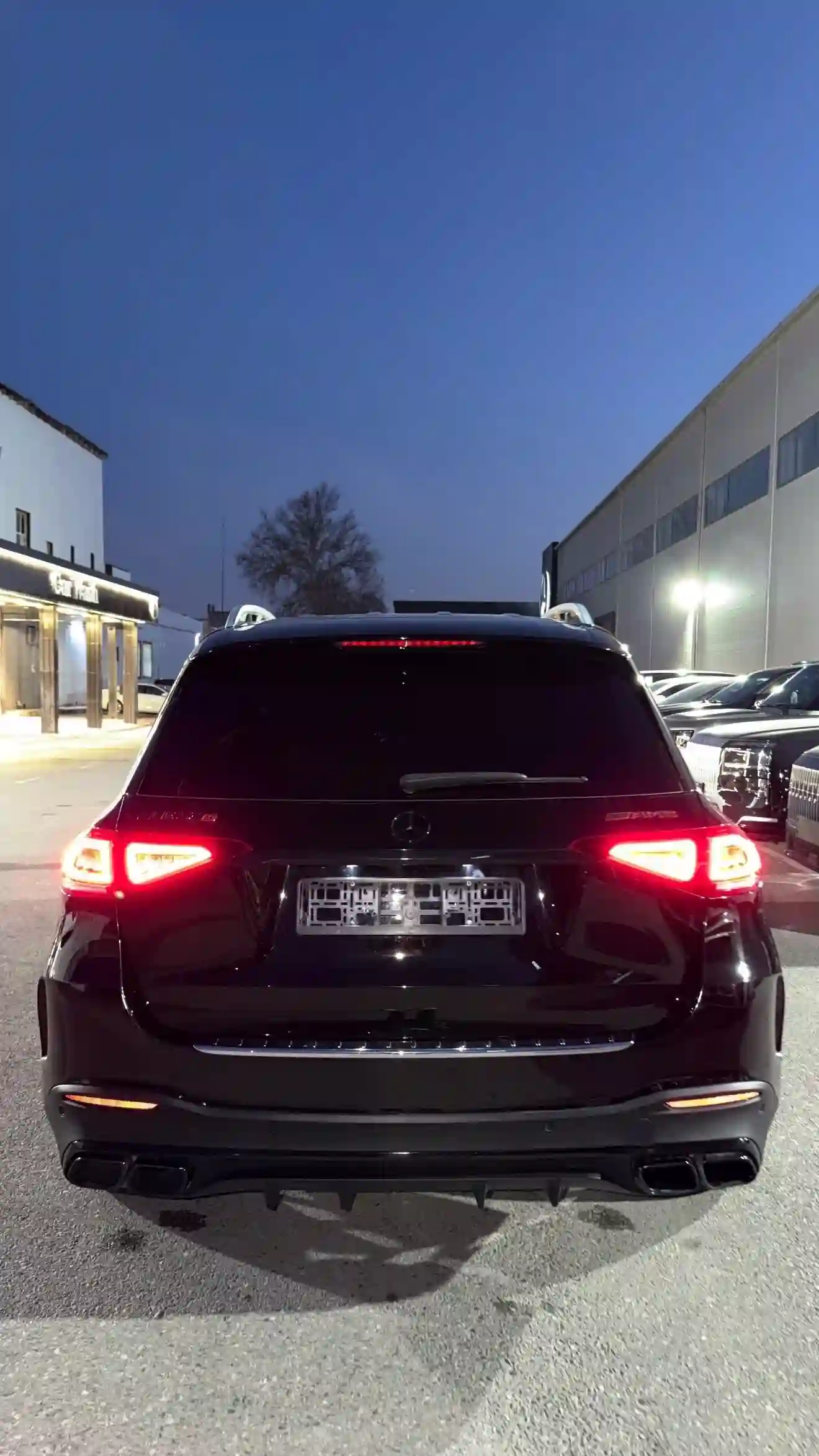 Mercedes-benz Gle class 2020