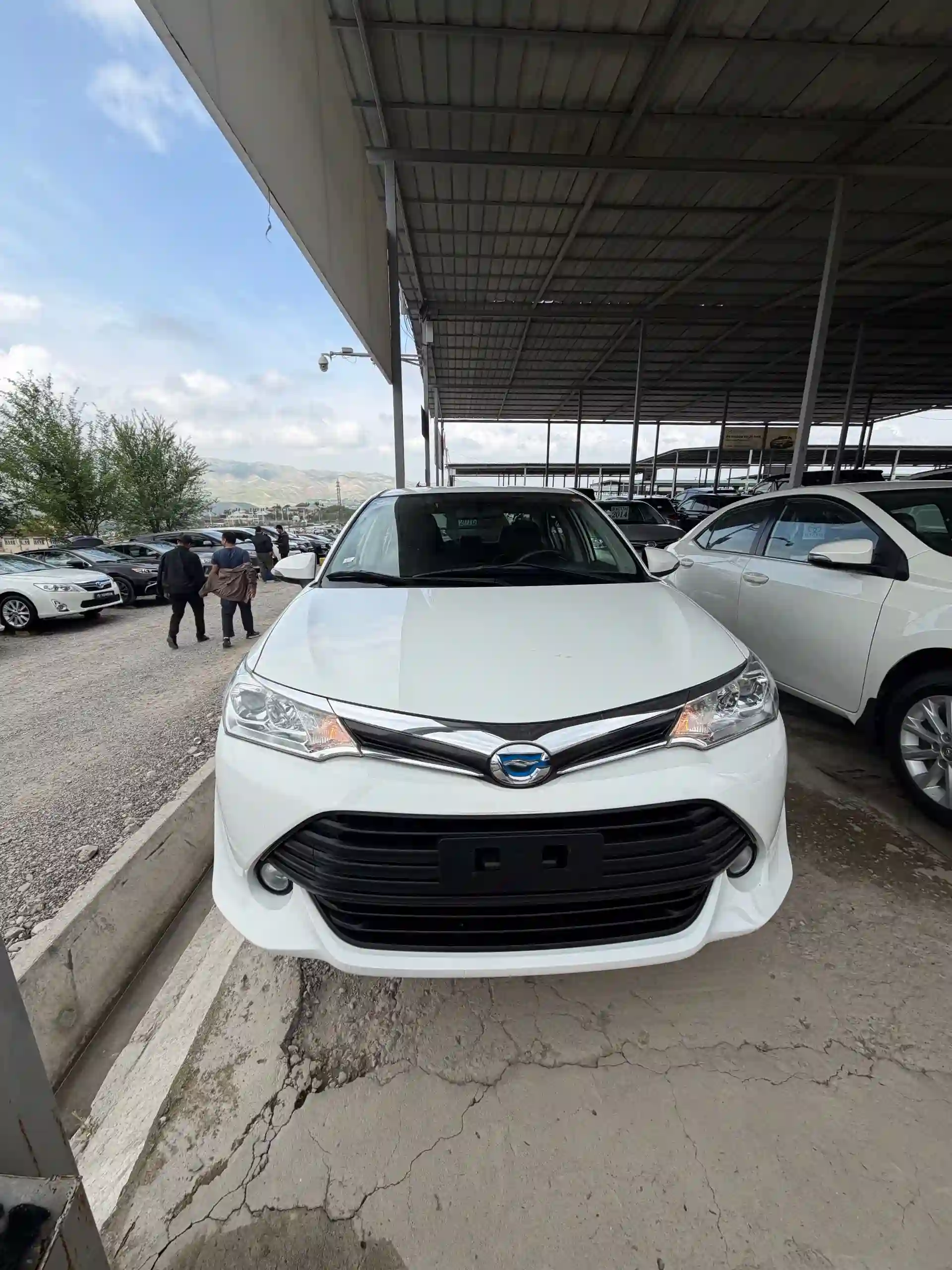 Toyota Axio 2016