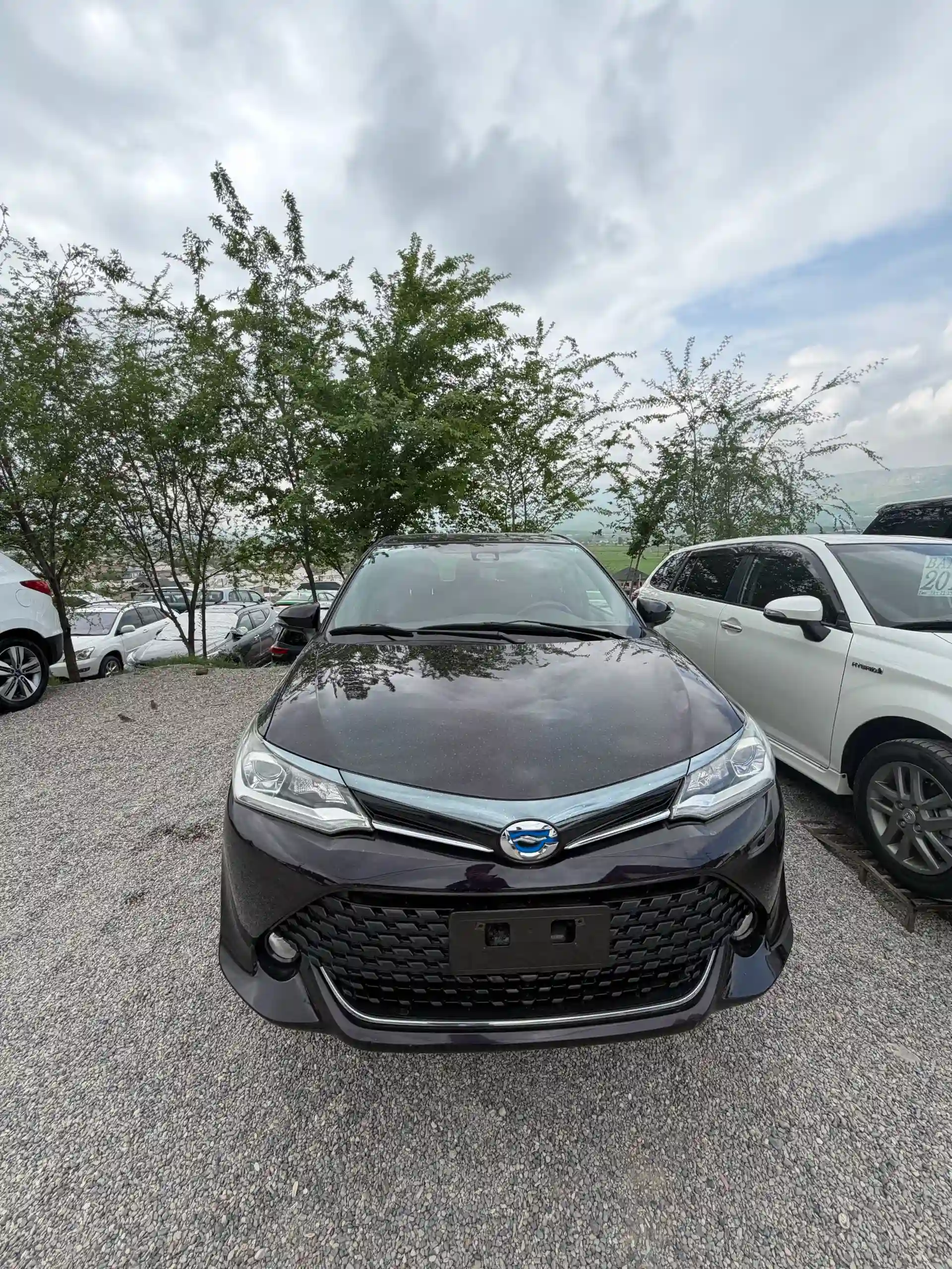 Toyota Fielder 2016