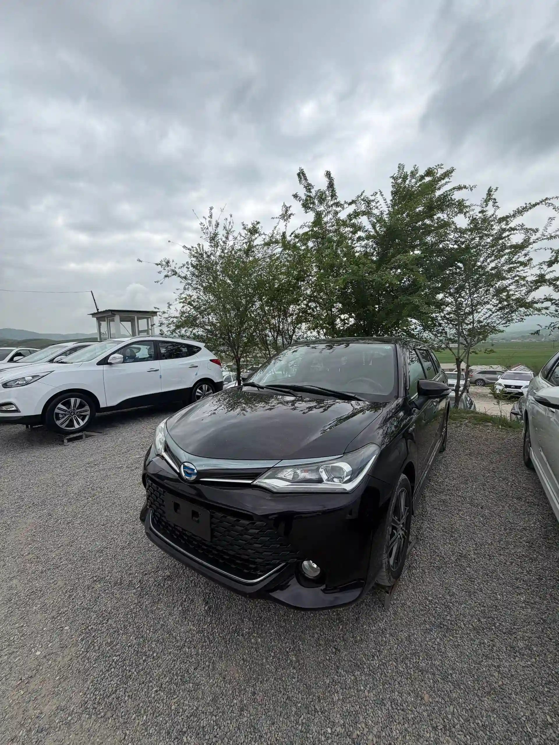 Toyota Fielder 2016