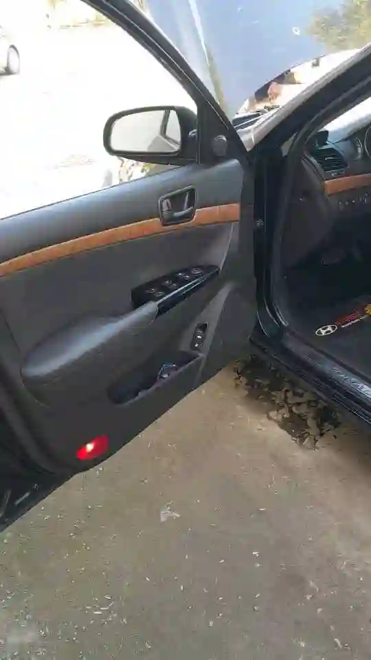 Hyundai Sonata 2009