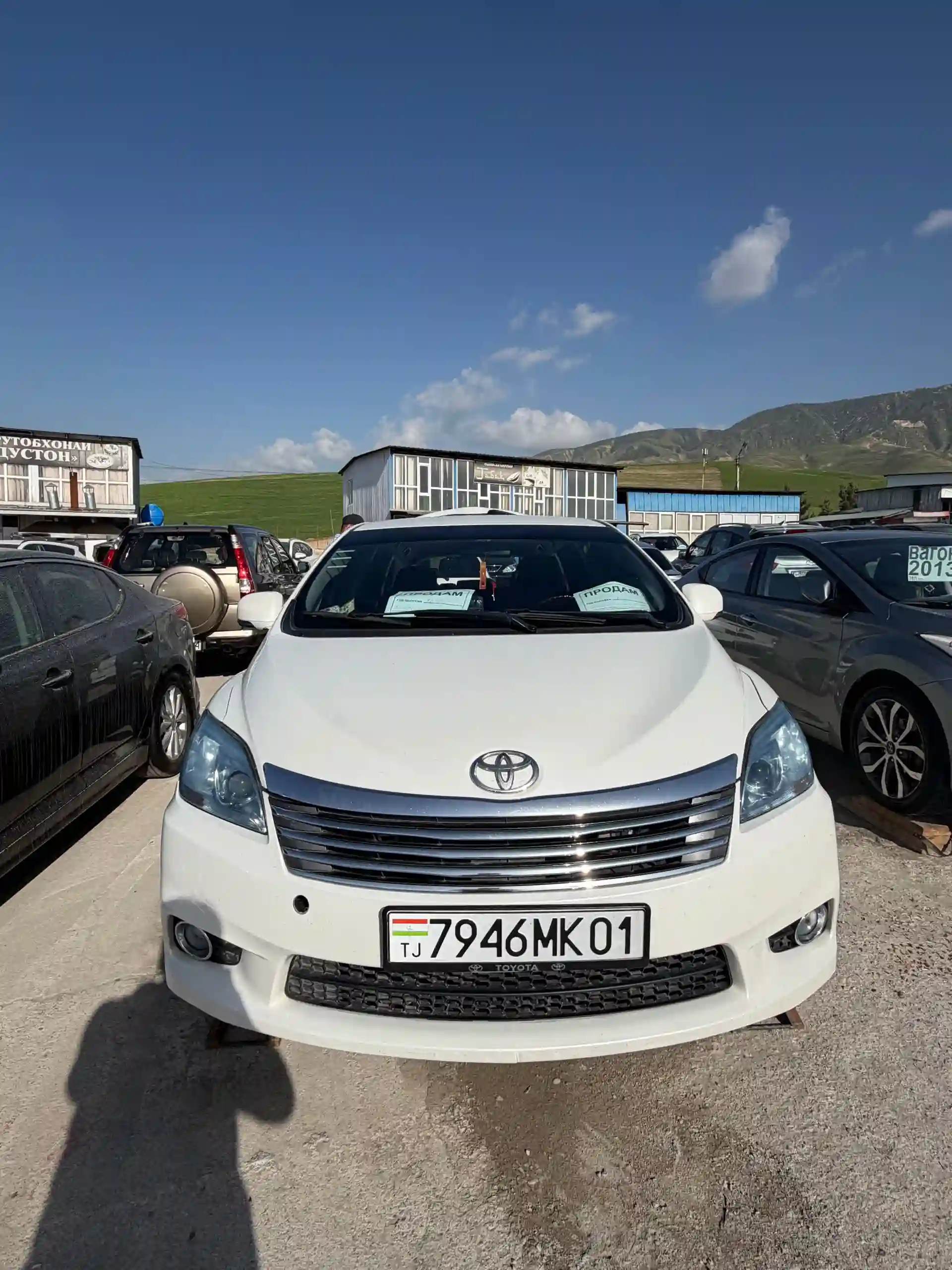 Toyota Mark X ZiO 2007