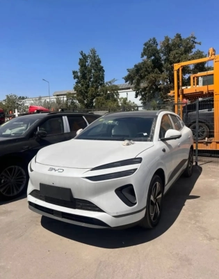 BYD Sea Lion 06, 2025