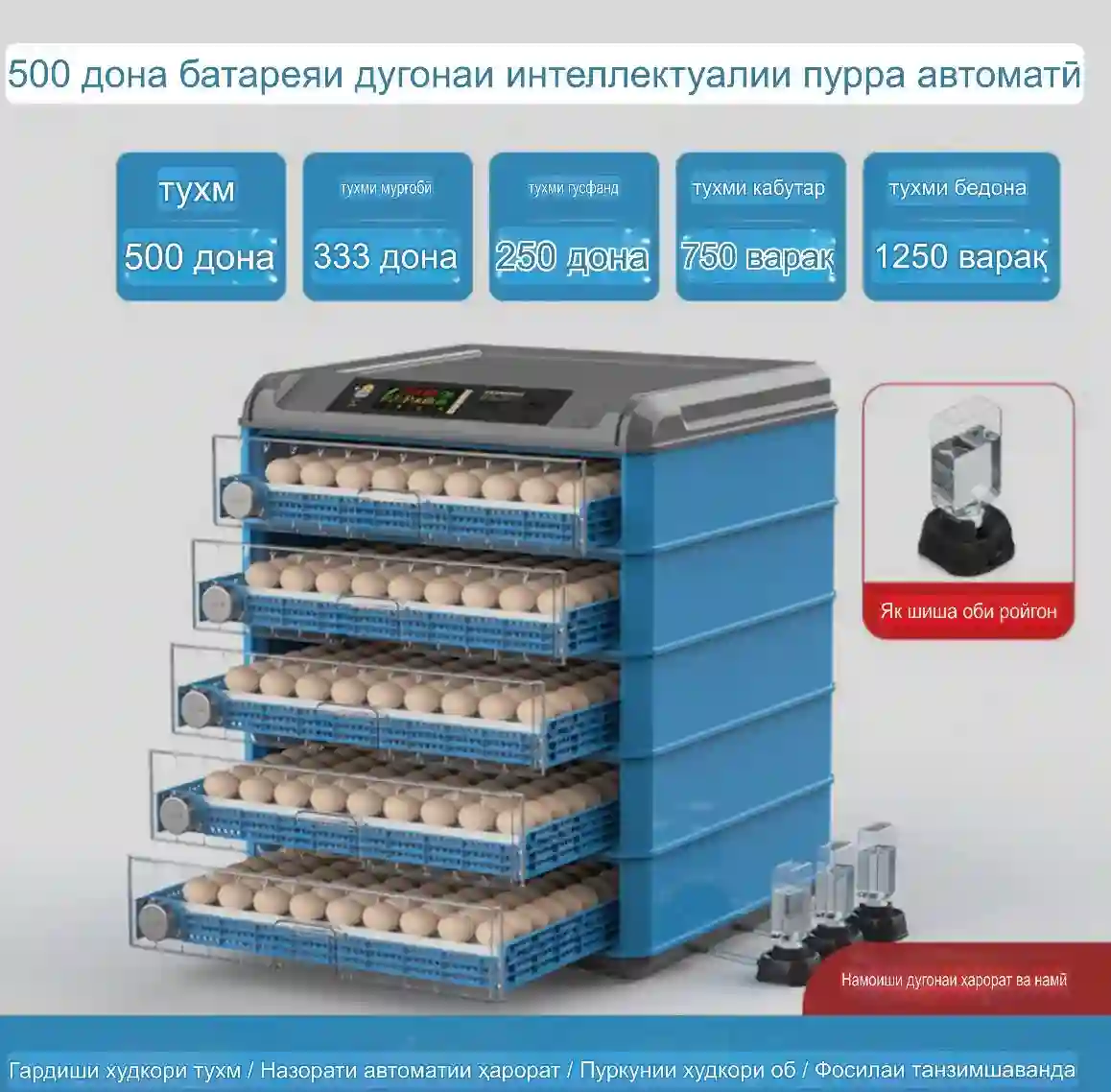 Инкубатор