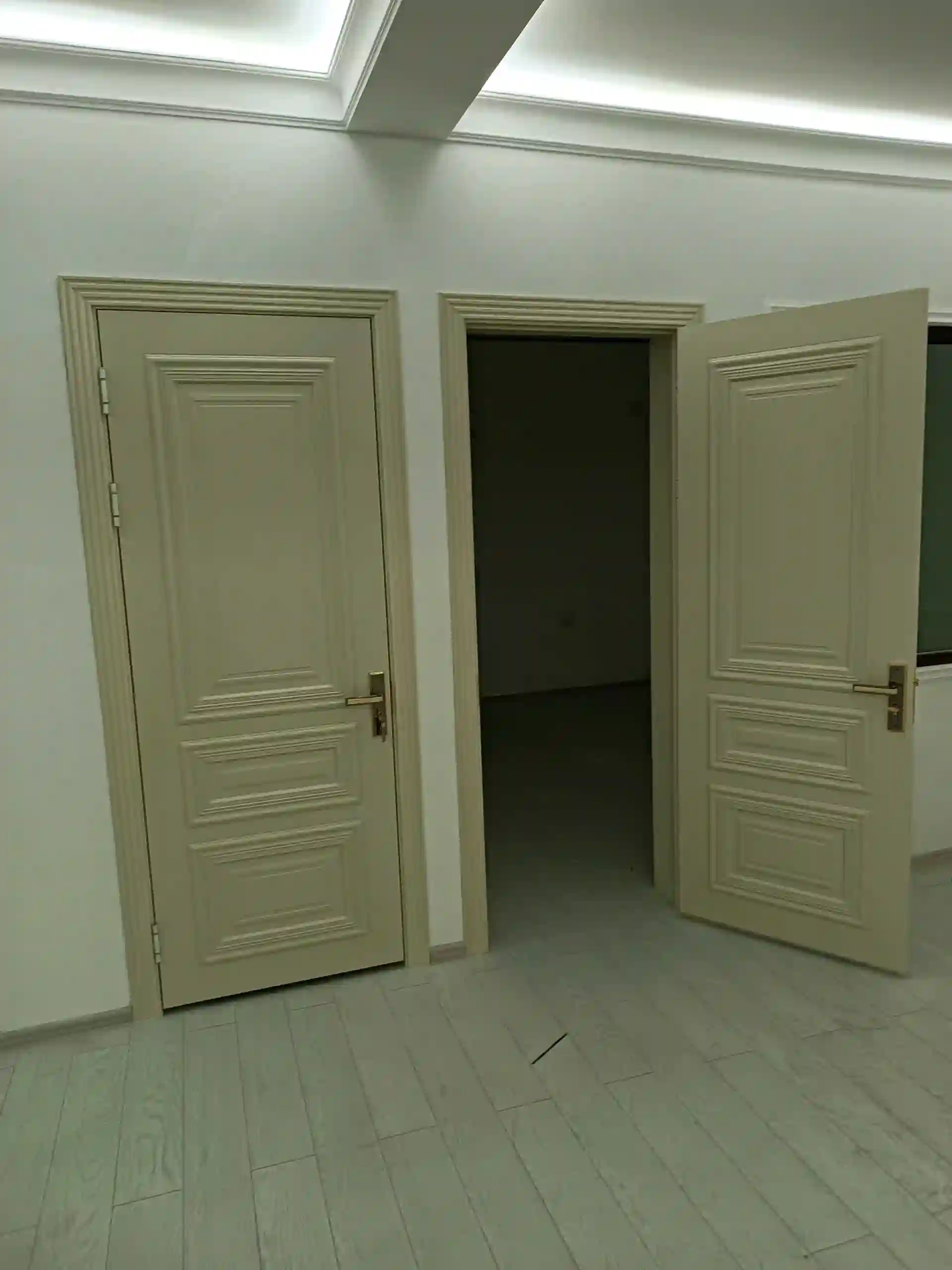 Установка межкомнатных дверей