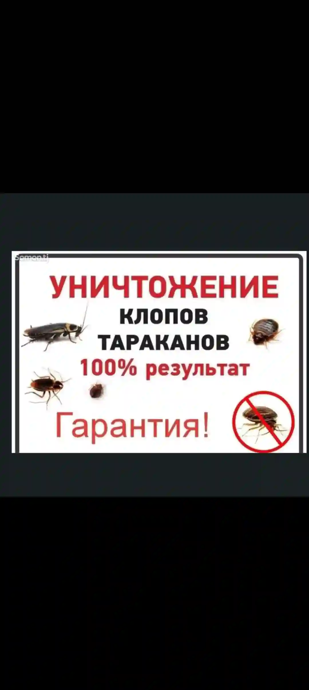 дезинфексия