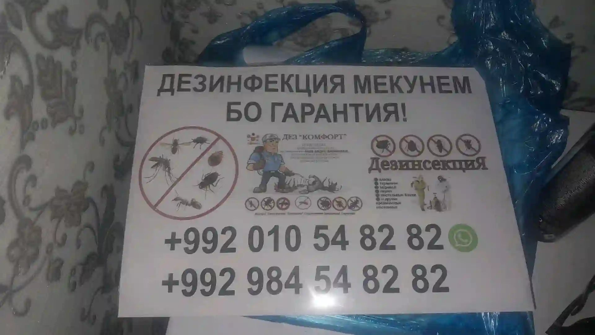 дезинфексия
