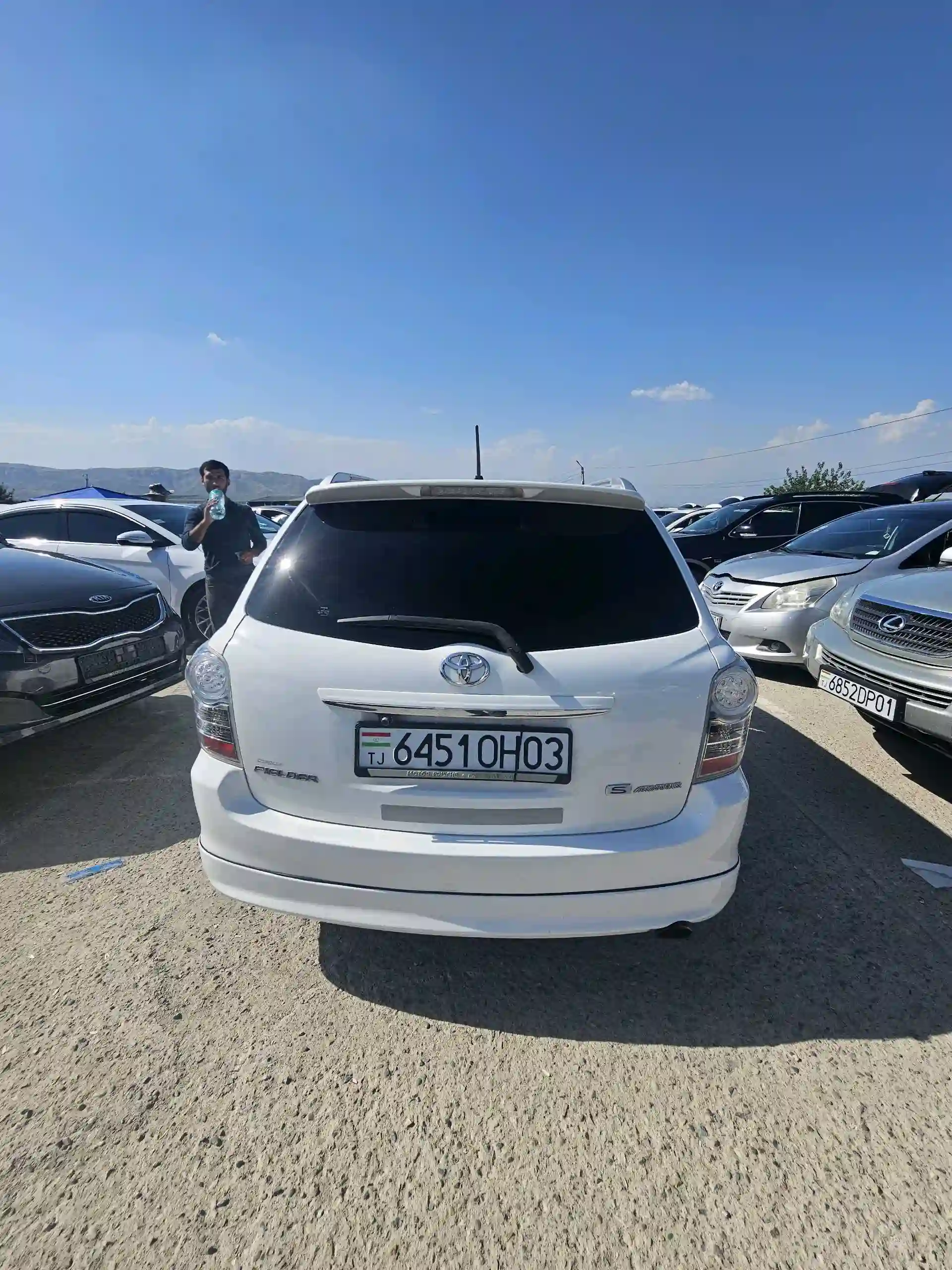 Toyota Fielder 2010