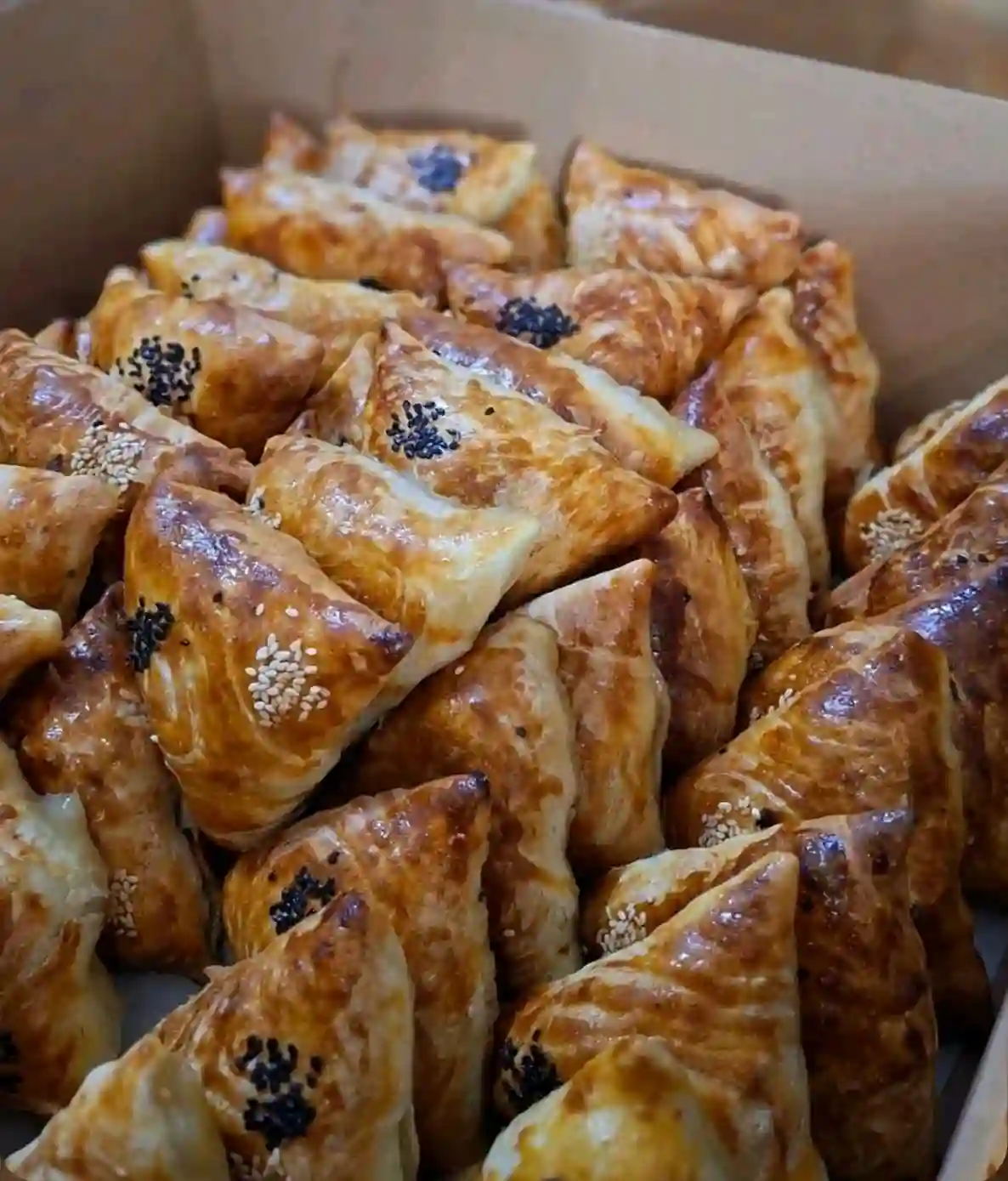 Самбусахои хогаги