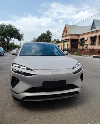 BYD Sea Lion 06, 2026