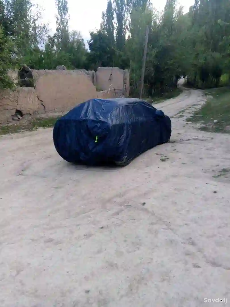 паладкаи начосдор