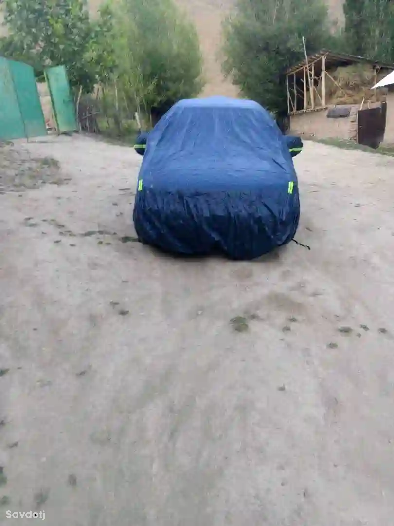 паладкаи начосдор
