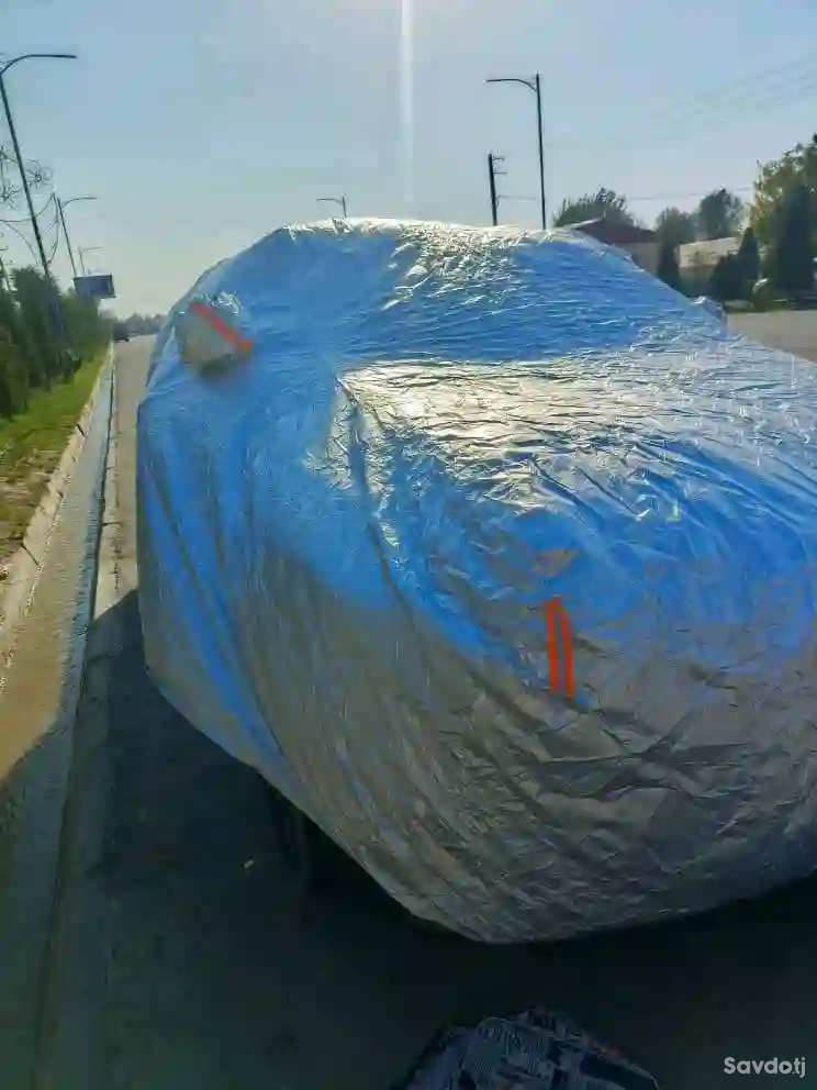паладкаи начосдор