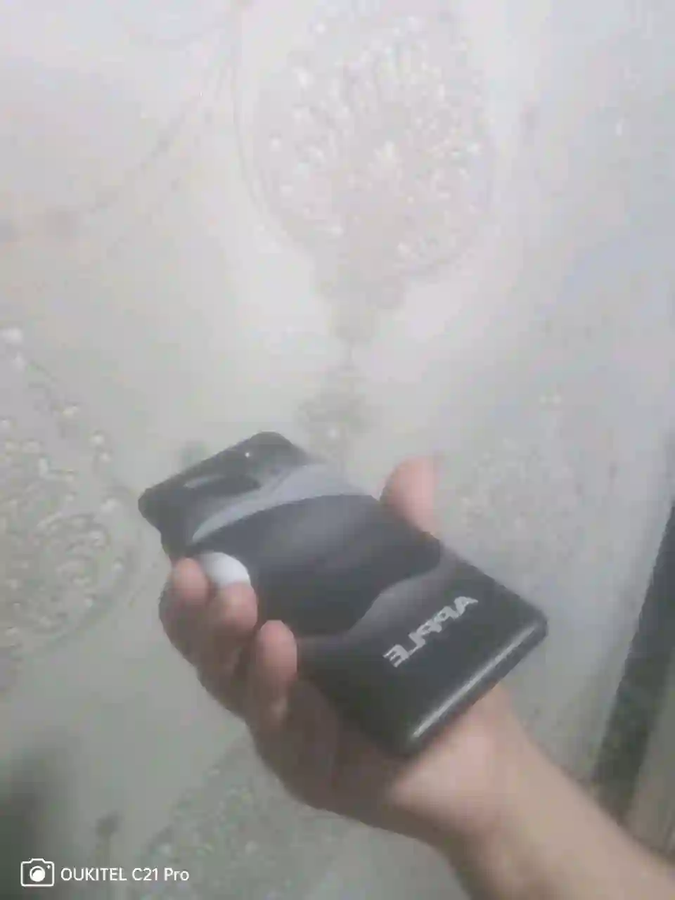 a31