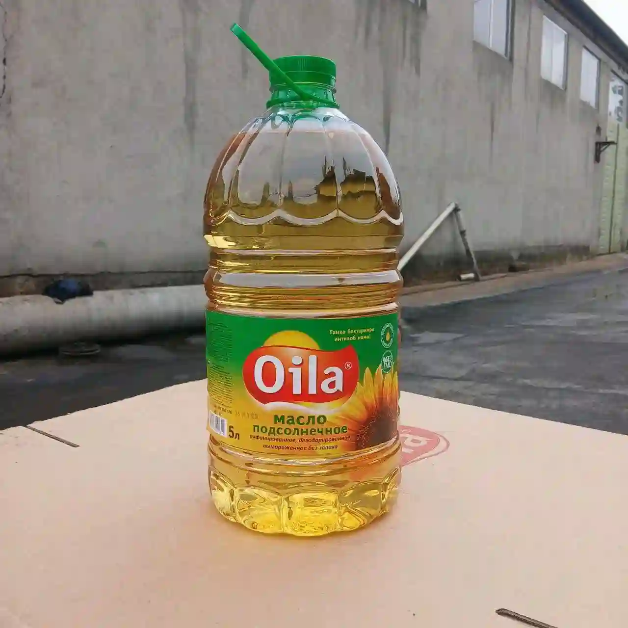 равғани растани