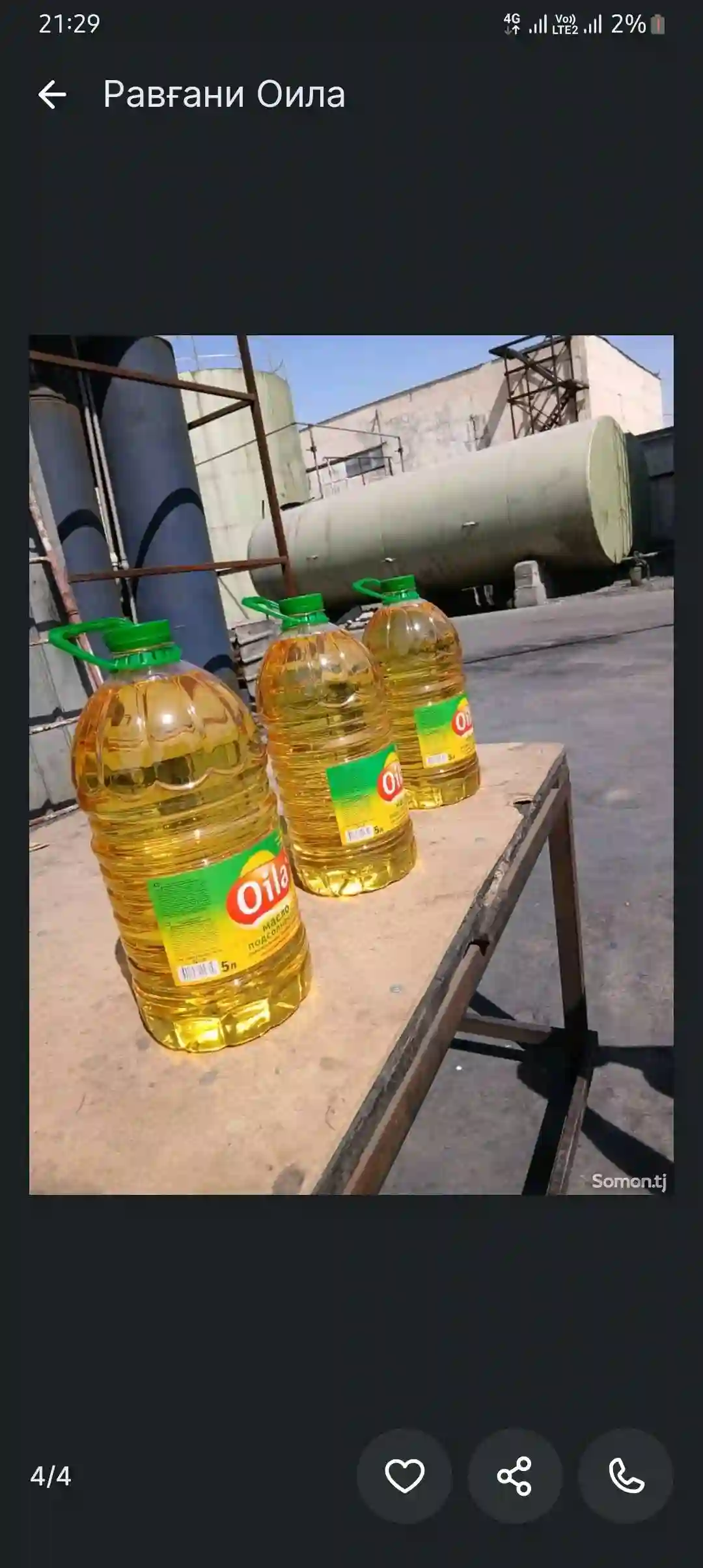 равғани растани