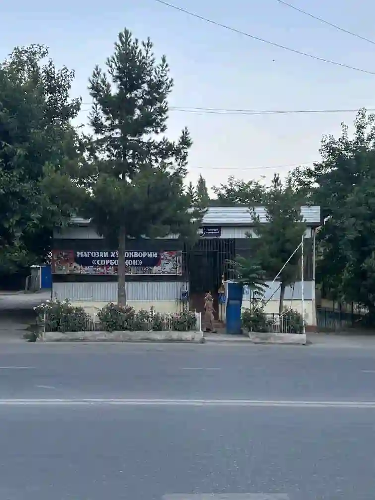 Магозаи хуроквори