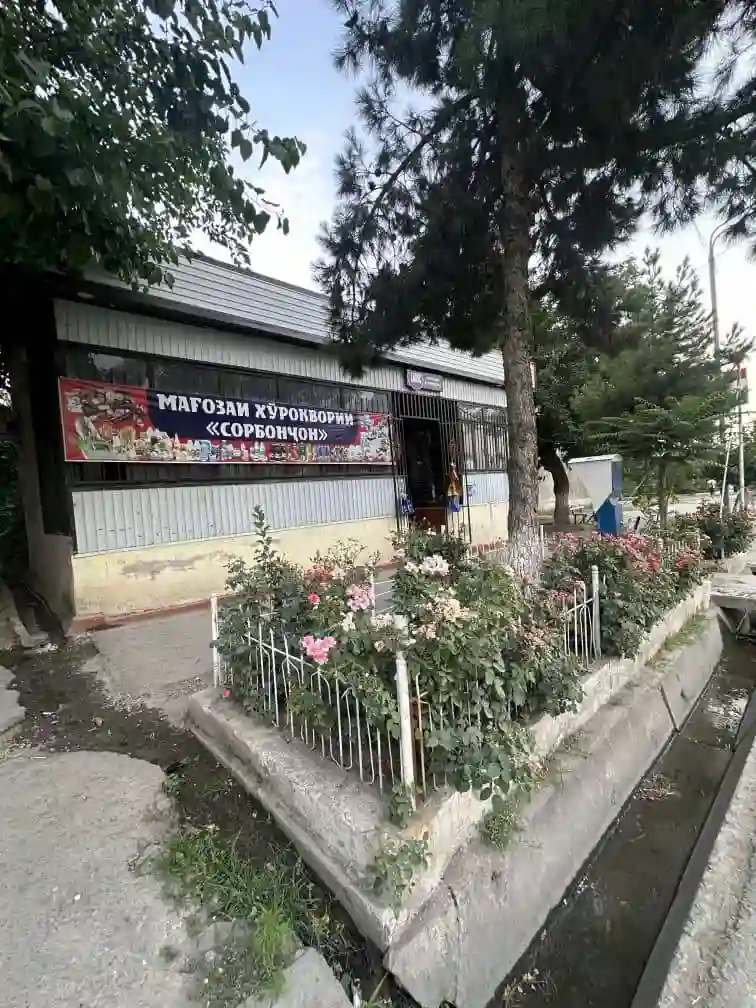 Магозаи хуроквори