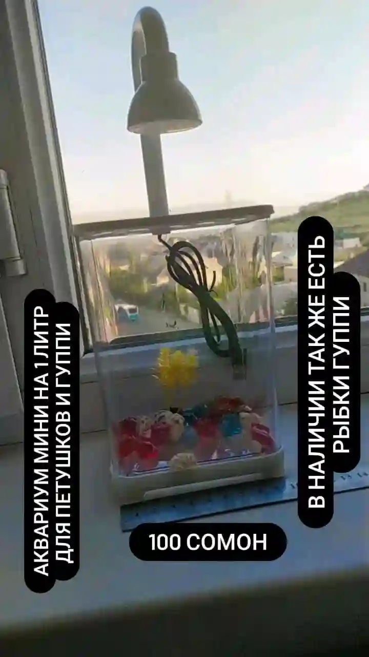 Мини аквариум с рыбками 