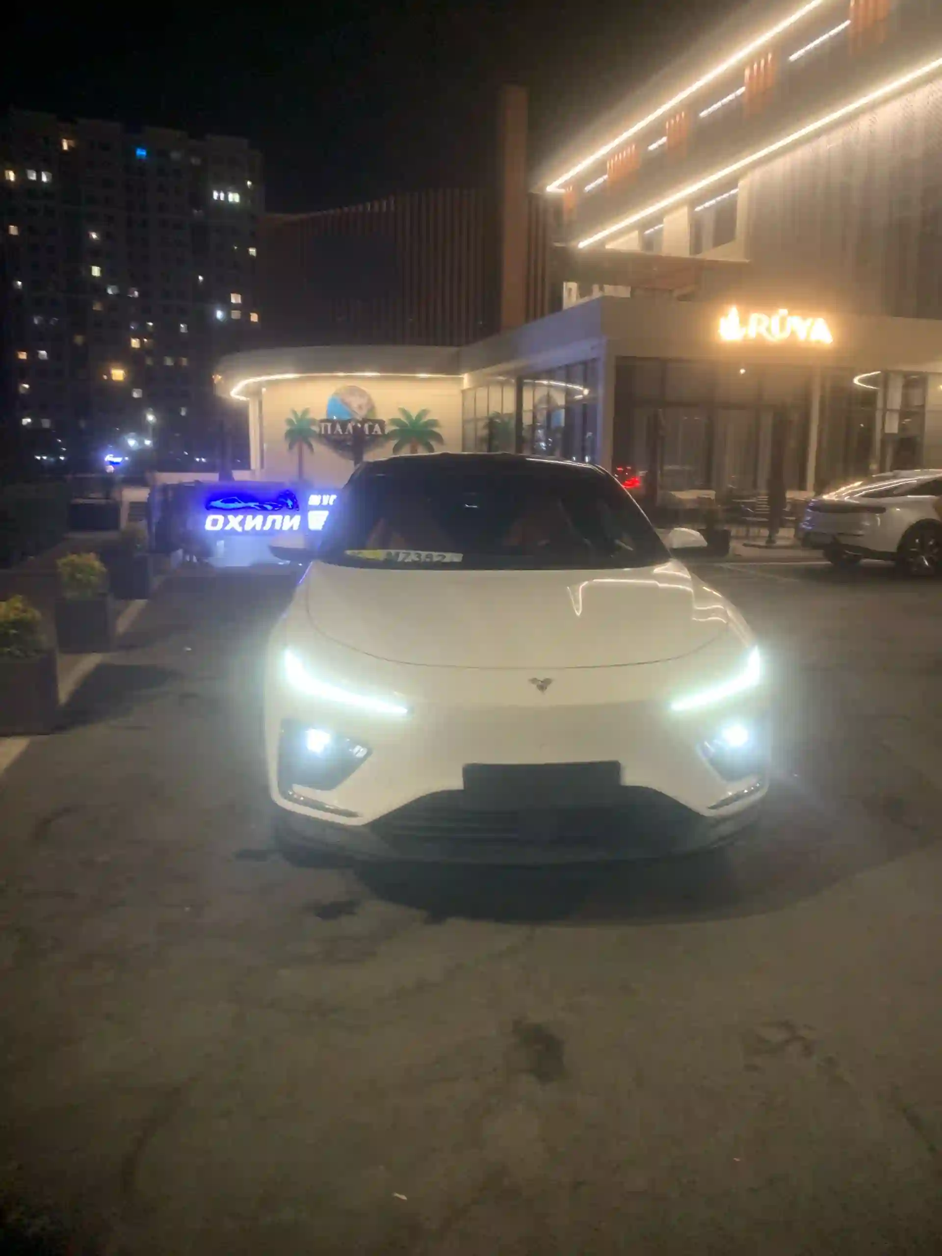 Neta S 2024