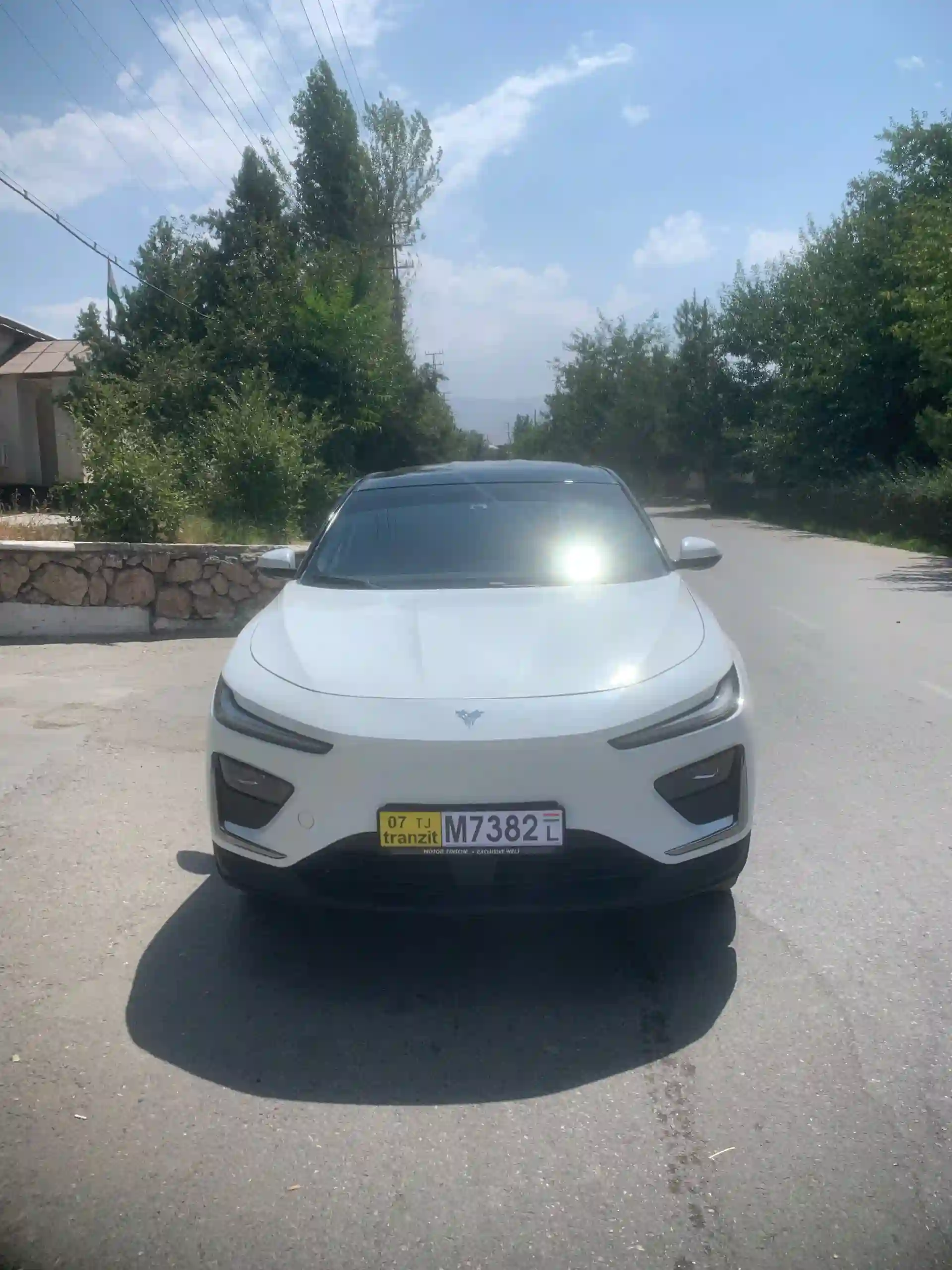 Neta S 2024