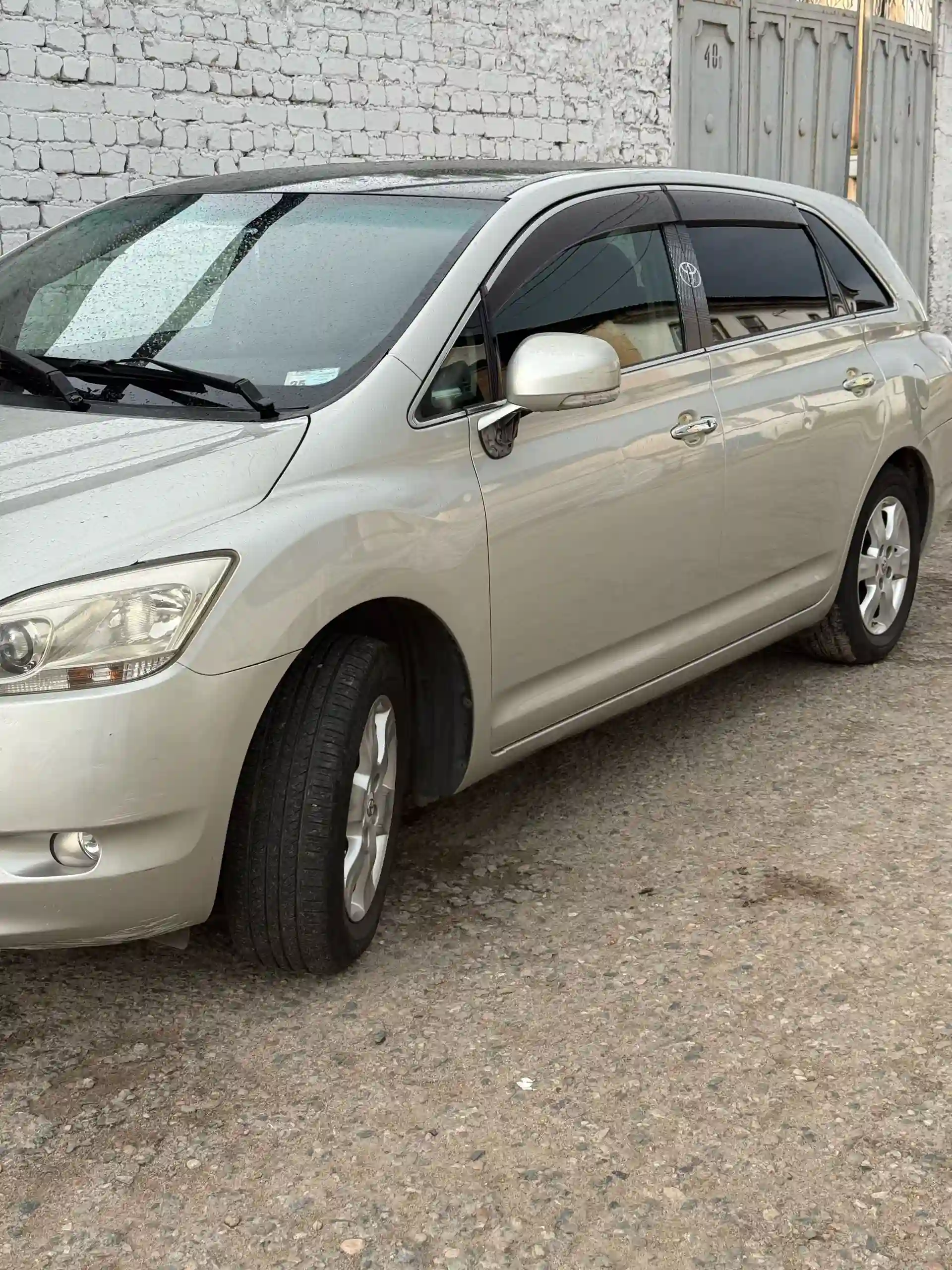 Toyota Mark X ZiO 2009