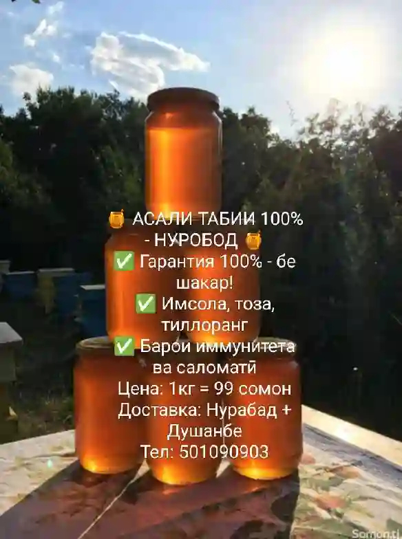 Асали табии 100% - аз КУҲИ НУРОБОД