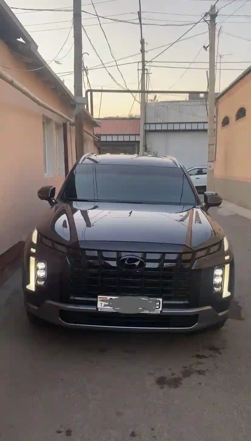 Hyundai Palisade 2024