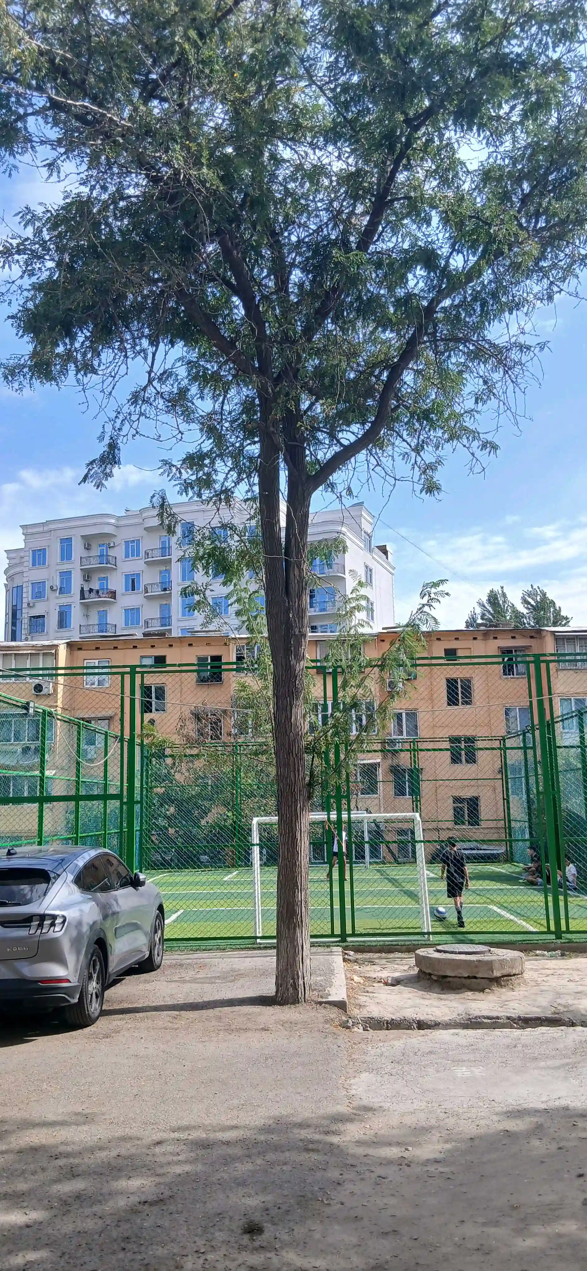 1-к квартира, 7 этаж, 54 м², 33 — миниатюра 10