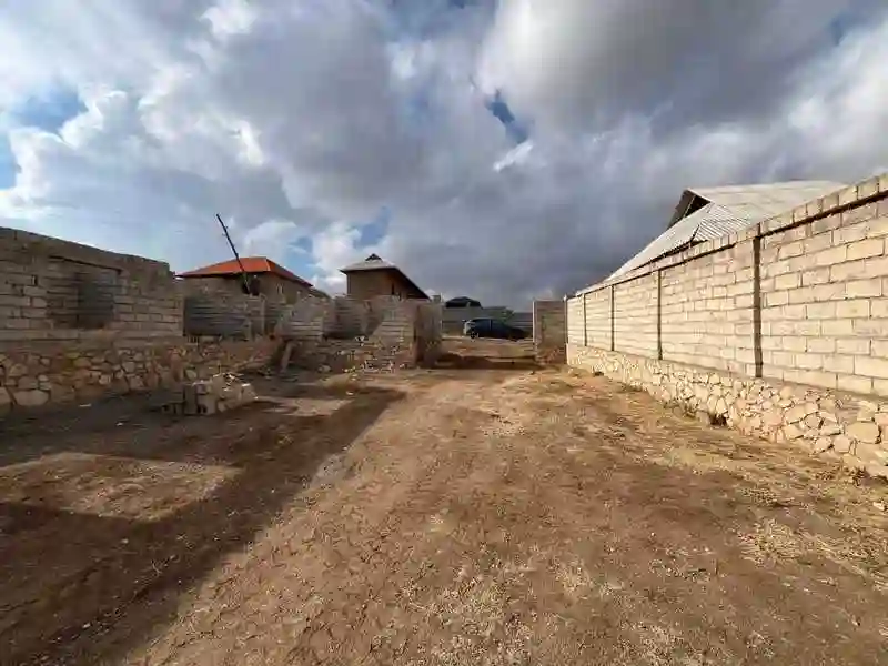 Дангара