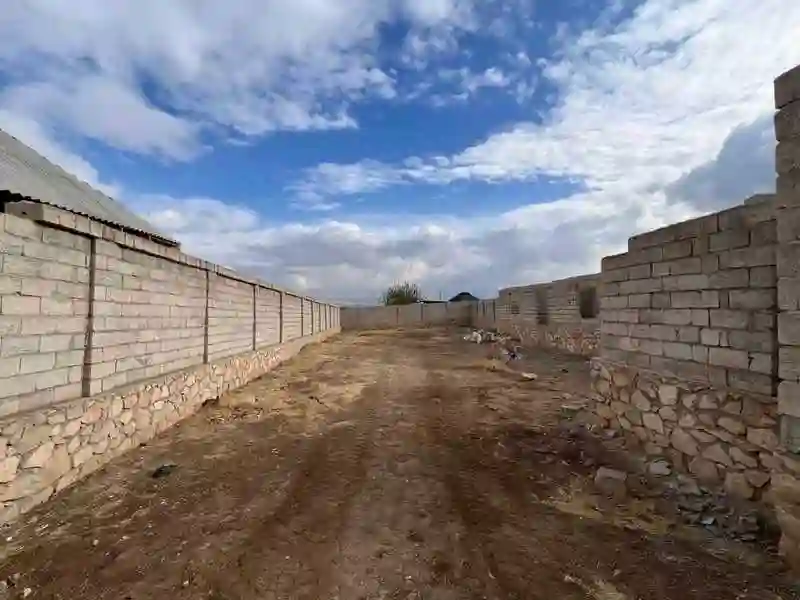 Дангара
