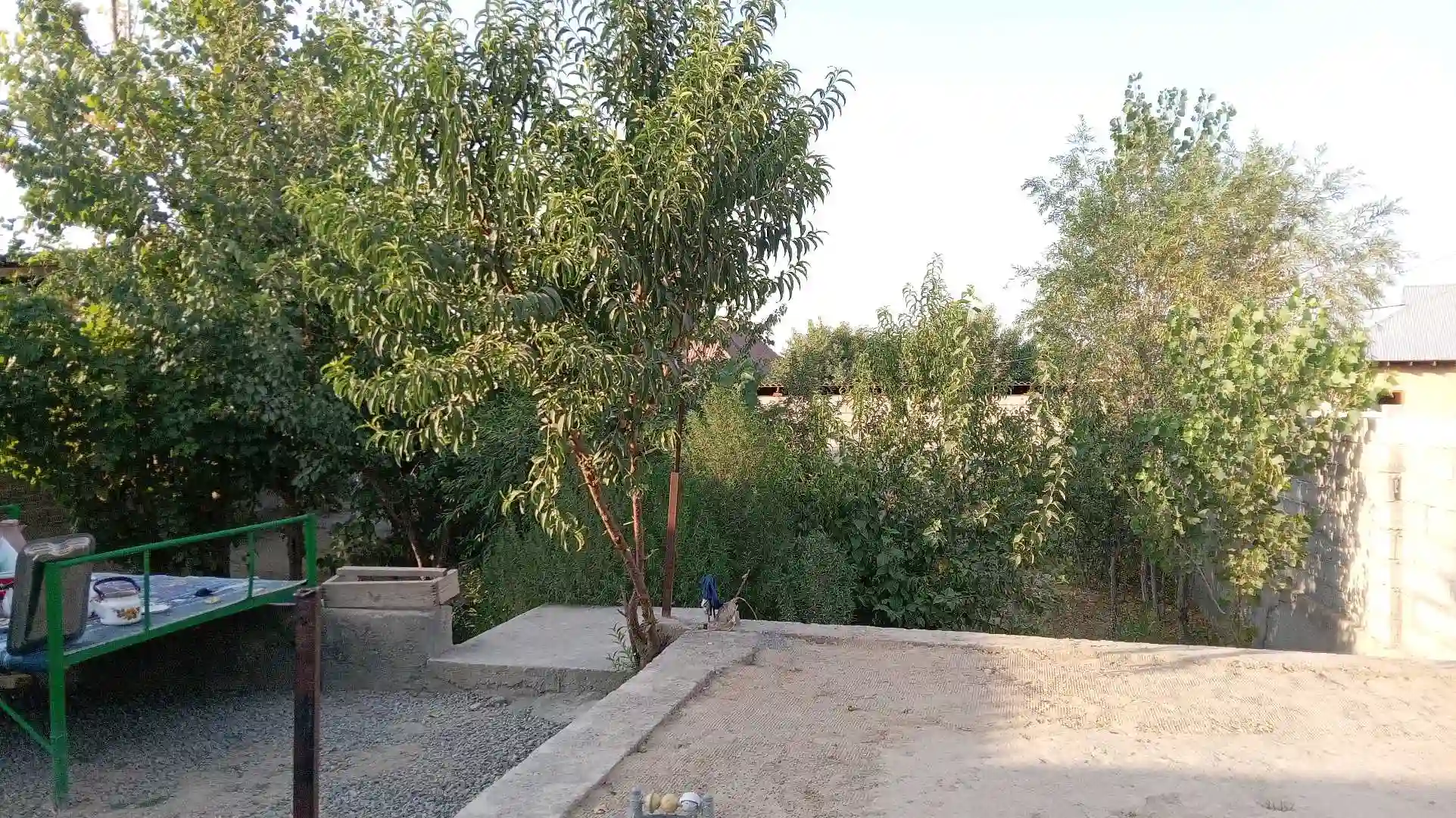 3-к квартира, 1 этаж, 70 м², Фархор