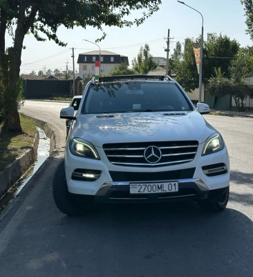 Mercedes-benz Ml class 2014