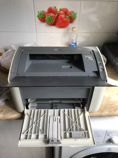Принтер Canon lbp 2900 — миниатюра 1