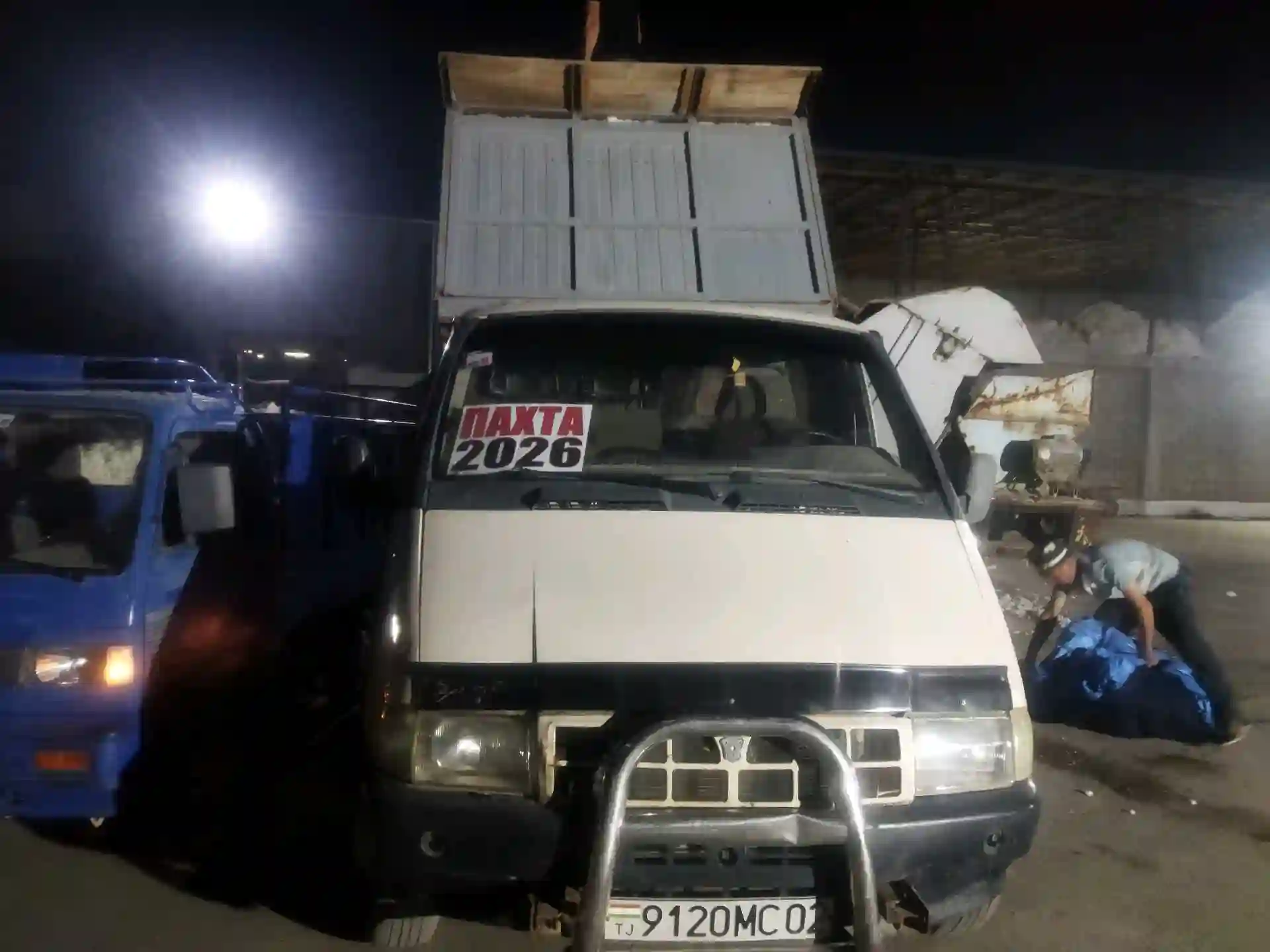 газель