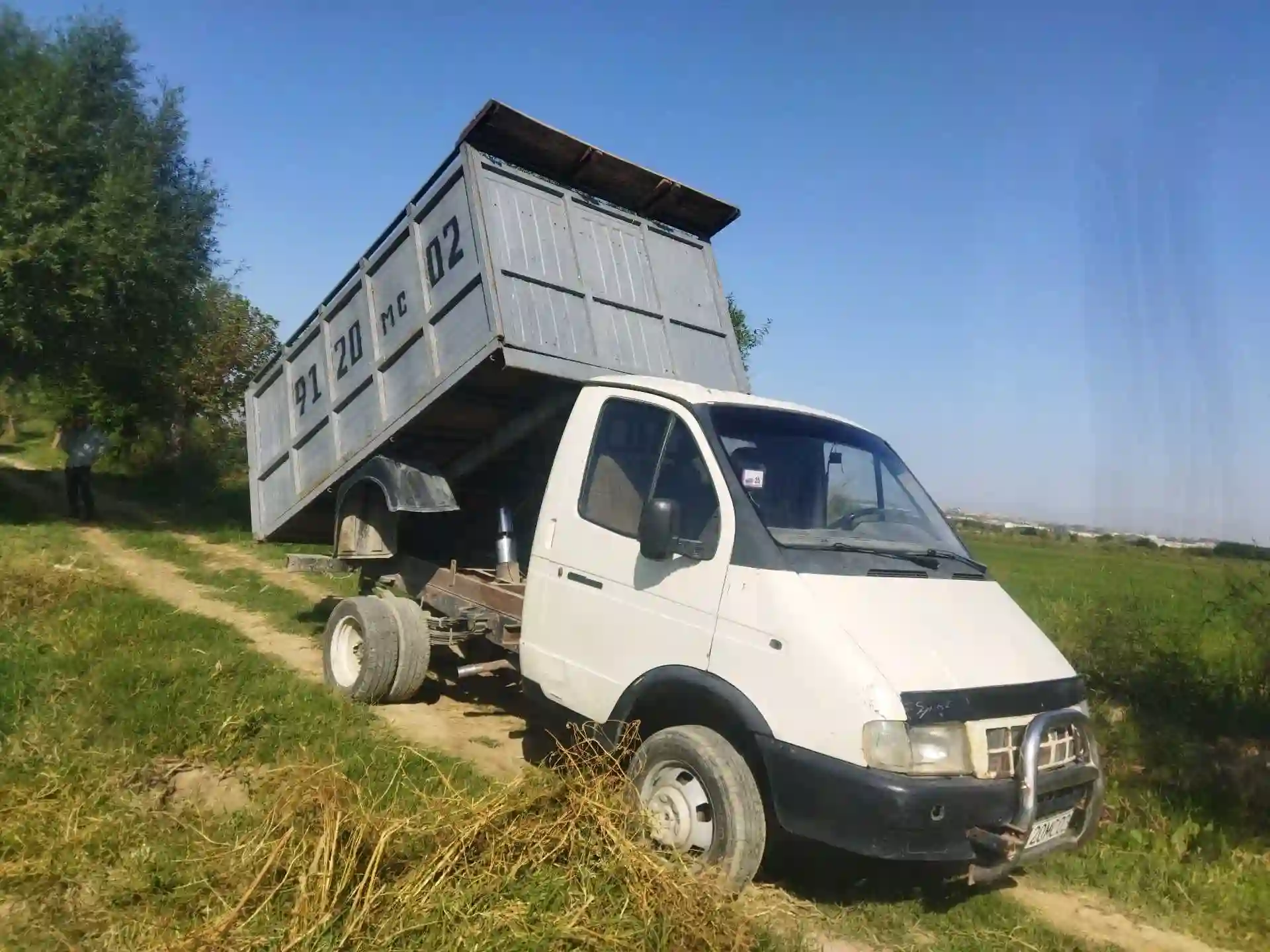 газель