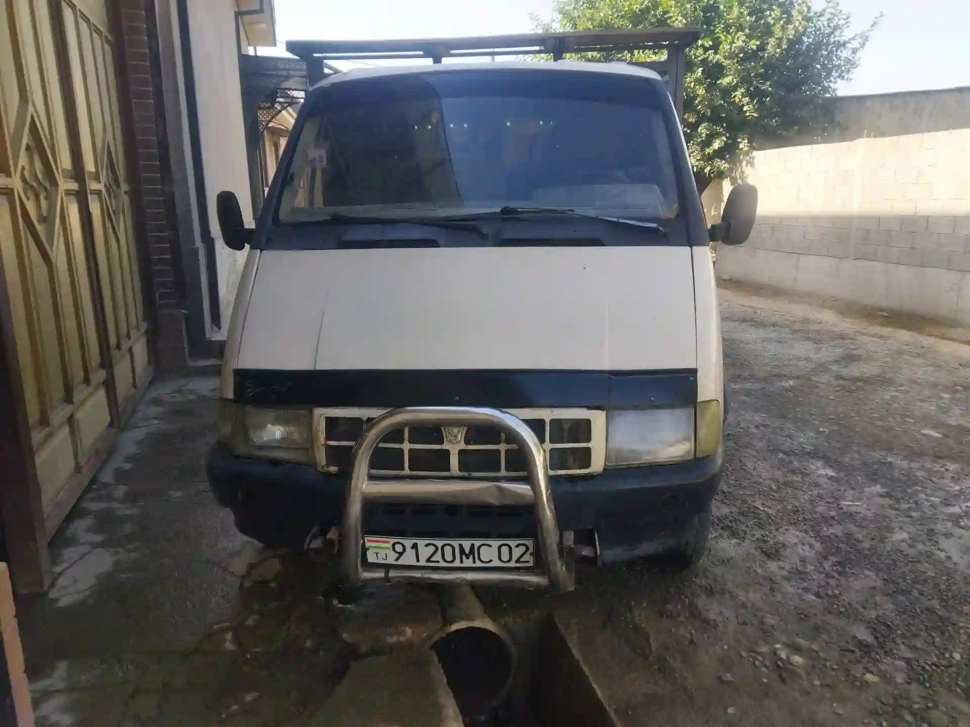 газель